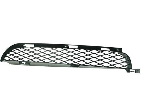 Решетка бампера правая для BMW X5 E53 2004-2006 51117116398 2613022787 фото