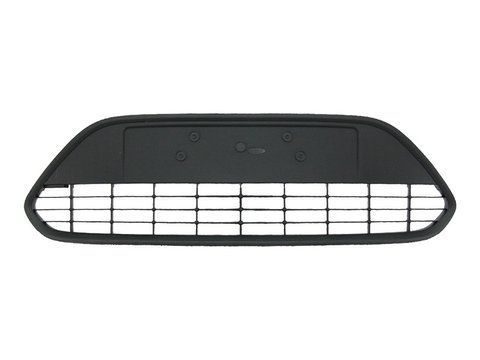 Решетка в бампер центральная для Ford Focus 2 2008-2011 1647346279 фото